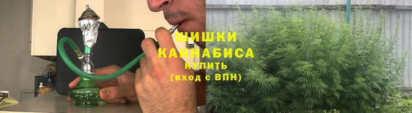 ГАЛЛЮЦИНОГЕННЫЕ ГРИБЫ Верхний Тагил