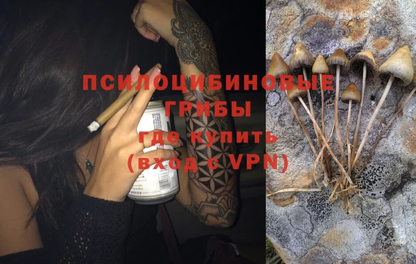 ГАЛЛЮЦИНОГЕННЫЕ ГРИБЫ Верхний Тагил