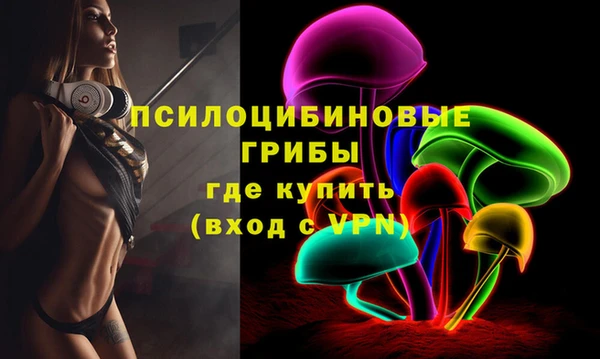 ГАЛЛЮЦИНОГЕННЫЕ ГРИБЫ Верхний Тагил