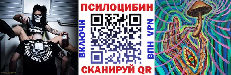 кракен tor  Махачкала  Галлюциногенные грибы Psilocybine cubensis  как найти  